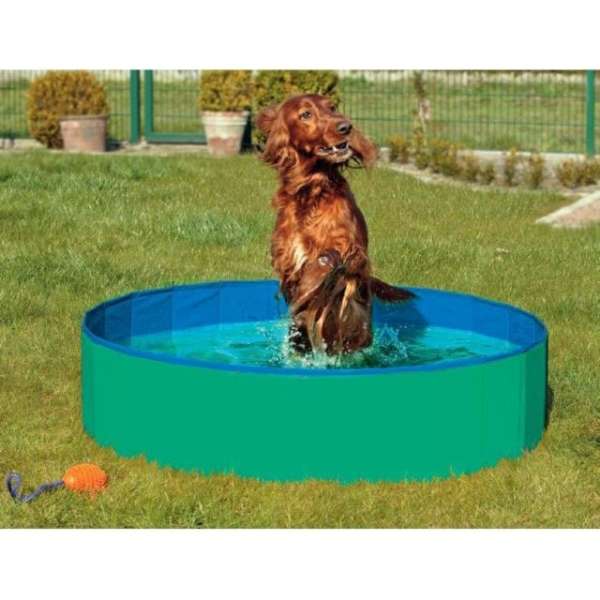 Karlie DOGGY POOL der Swimmingpool fÃ¼r Hunde - GrÃ¼n-Blau - 80 cm