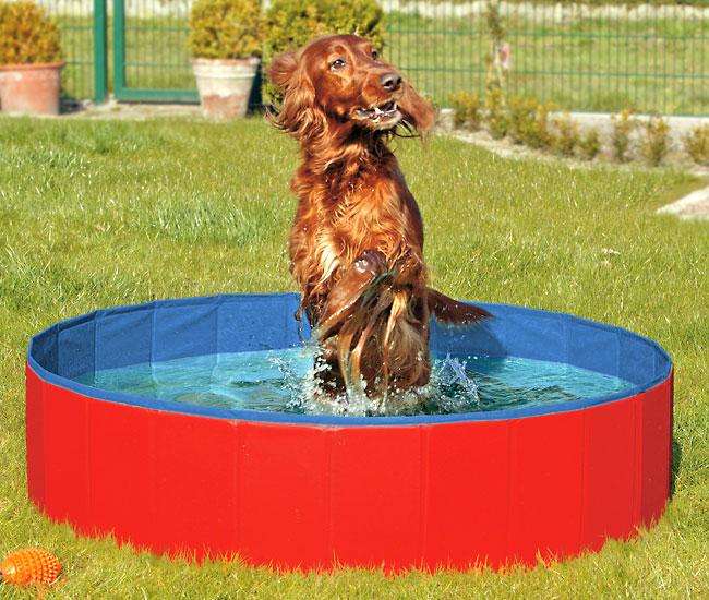 Karlie DOGGY POOL der Swimmingpool fÃ¼r Hunde - Rot-Blau - 80 cm